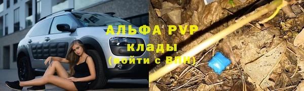 ПСИЛОЦИБИНОВЫЕ ГРИБЫ Саяногорск