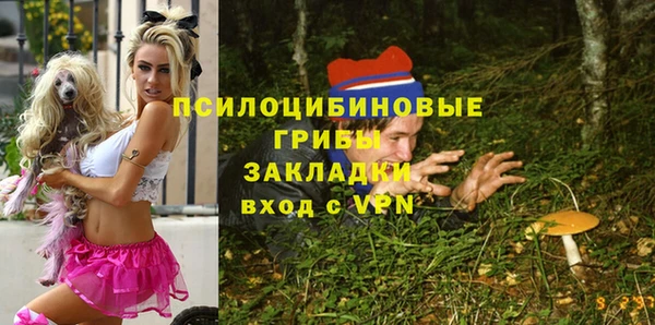 прущие крисы Сатка