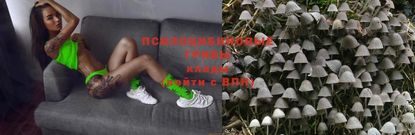 ПСИЛОЦИБИНОВЫЕ ГРИБЫ Саяногорск