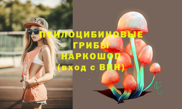 ПСИЛОЦИБИНОВЫЕ ГРИБЫ Саяногорск