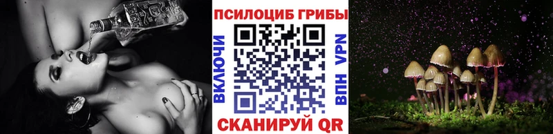 Псилоцибиновые грибы мухоморы  Купить  Печоры 